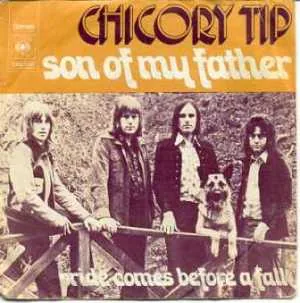 Chicory Tip
